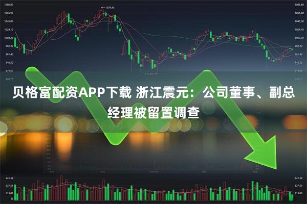 贝格富配资APP下载 浙江震元：公司董事、副总经理被留置调查