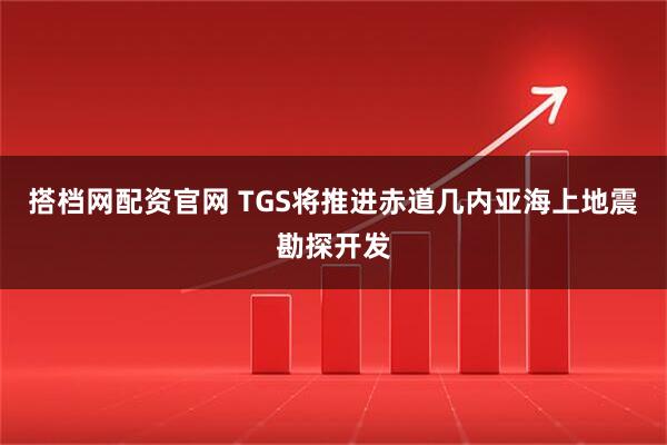 搭档网配资官网 TGS将推进赤道几内亚海上地震勘探开发