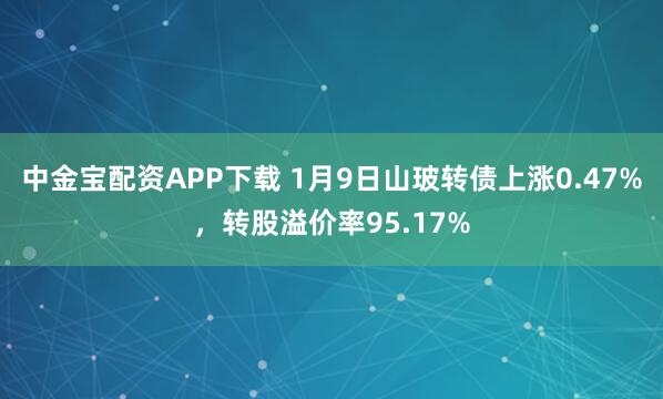 中金宝配资APP下载 1月9日山玻转债上涨0.47%，转股溢价率95.17%