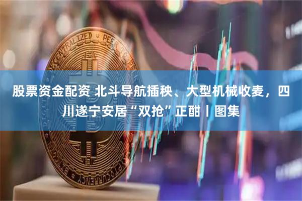 股票资金配资 北斗导航插秧、大型机械收麦，四川遂宁安居“双抢”正酣丨图集