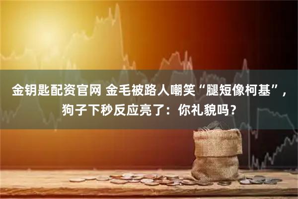 金钥匙配资官网 金毛被路人嘲笑“腿短像柯基”，狗子下秒反应亮了：你礼貌吗？